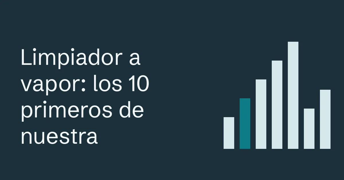 Limpiador a vapor