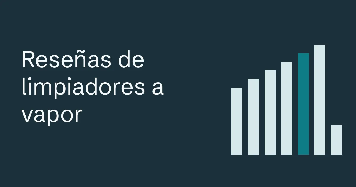 Reseñas de limpiadores a vapor